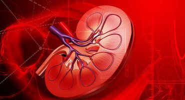 Dépistage Maladie Rénale Chronique 