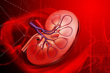 Dépistage Maladie Rénale Chronique 